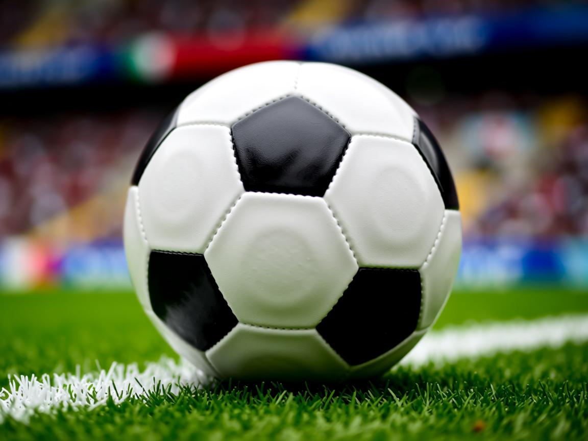 db真人官网入口-冬奥训练团队加强跨项目协同合作机制，冬奥会合作方